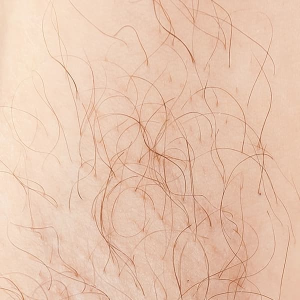 Light Brown/Red Light Brown/Red